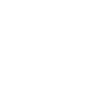 Marco Papi